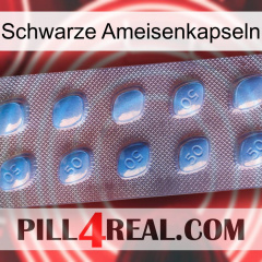 Black Ant Capsules viagra3